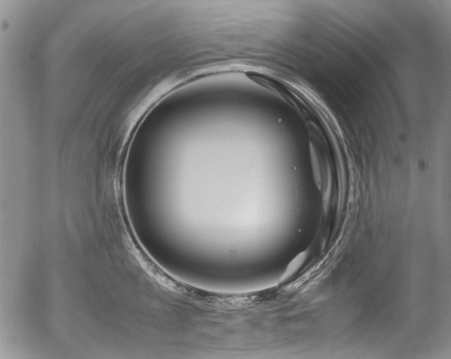 X0000054450813200507291315