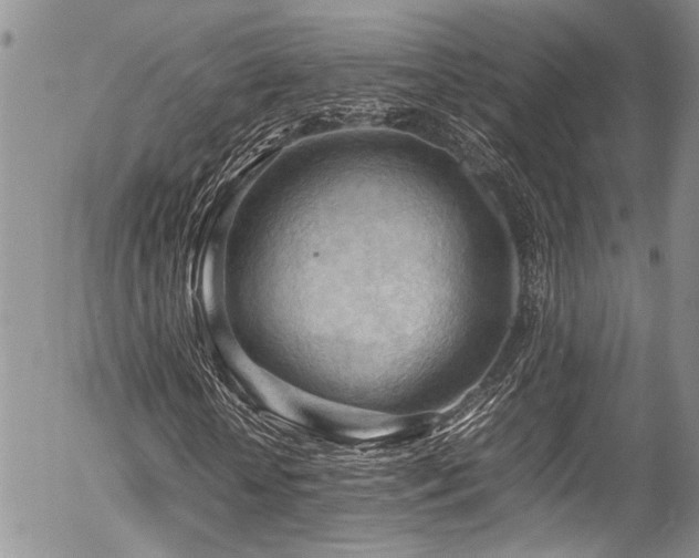 X0000054450818200507291314