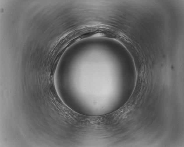 X0000054450822200507291314