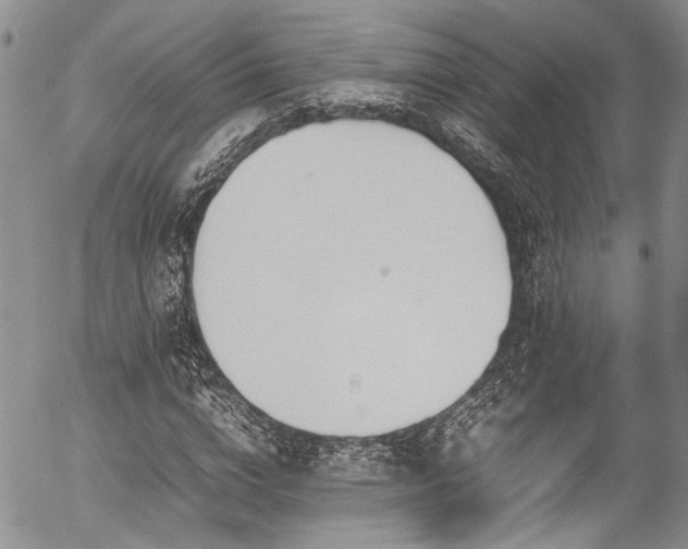 X0000054450824200507291314