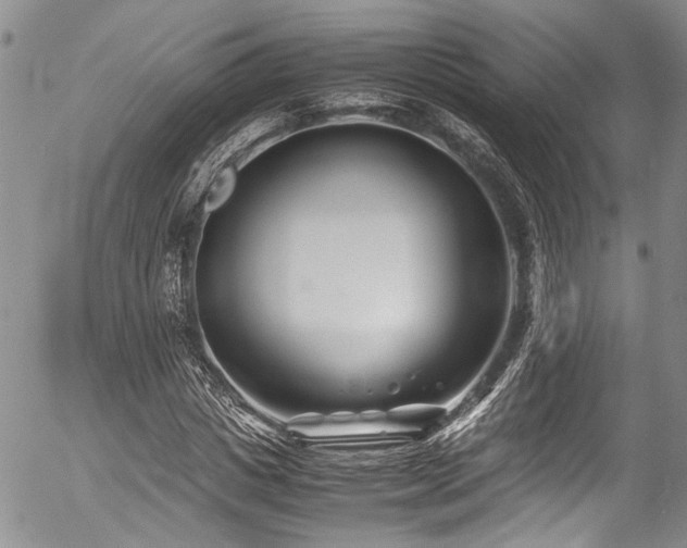 X0000054450825200507291314