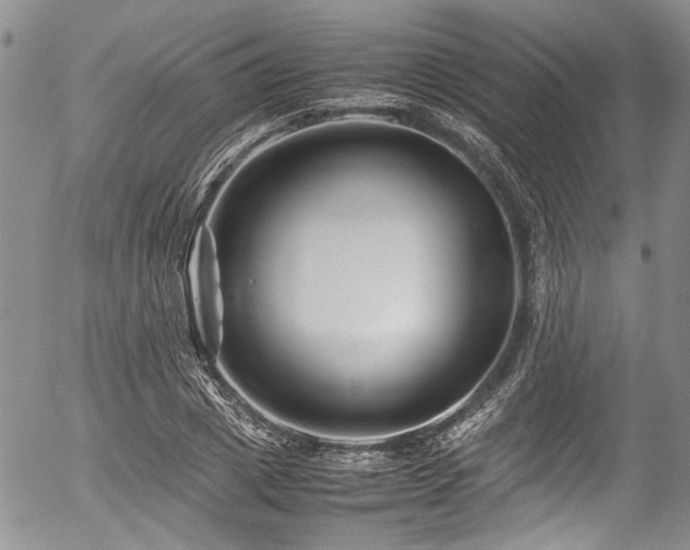 X0000054450833200507291314
