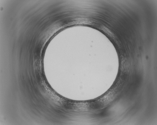 X0000054450836200507291314