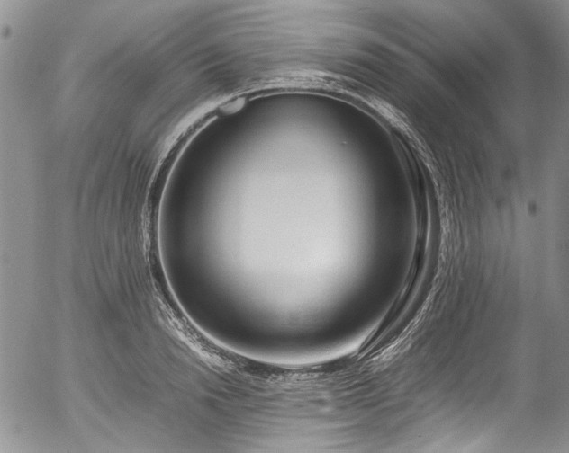 X0000054450846200507291315
