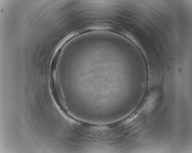 X0000054450853200507291315
