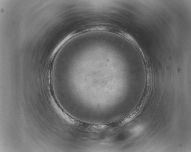 X0000054450859200507291315