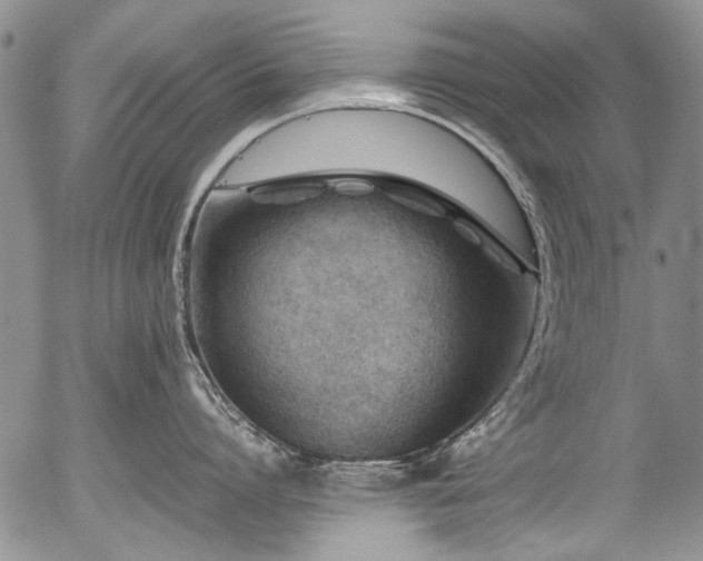 X0000054450864200507291315