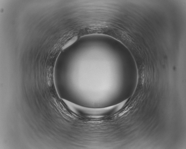X0000054450868200507291314