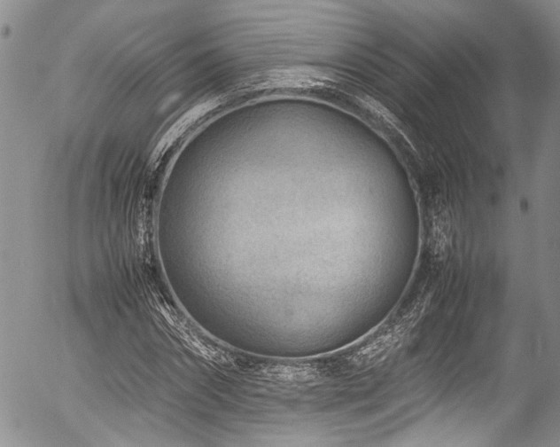 X0000054450874200507291314