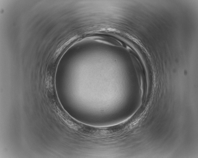 X0000054450881200507291314