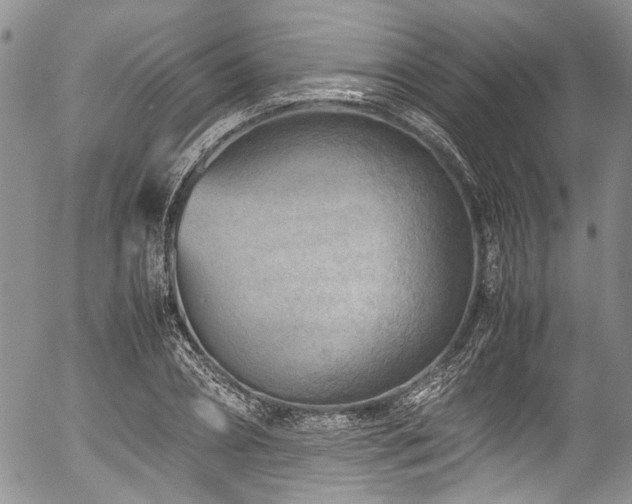X0000054450882200507291314