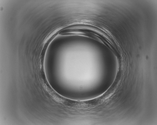 X0000054450885200507291314