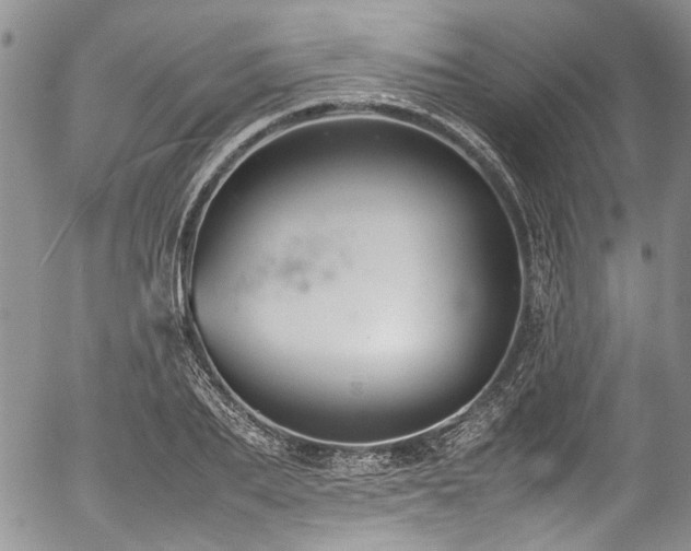 X0000054450887200507291314