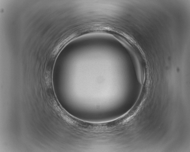 X0000054450889200507291314