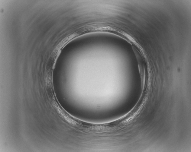 X0000054450897200507291314