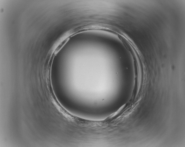 X0000054450909200507291313