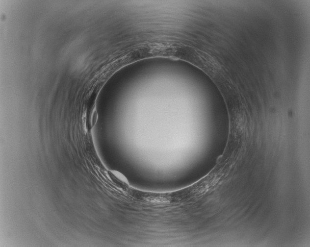 X0000054450914200507291312