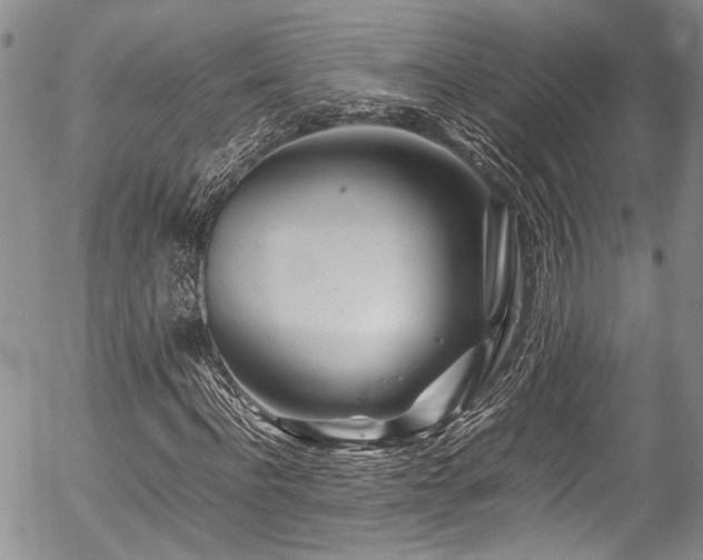 X0000054450916200507291313