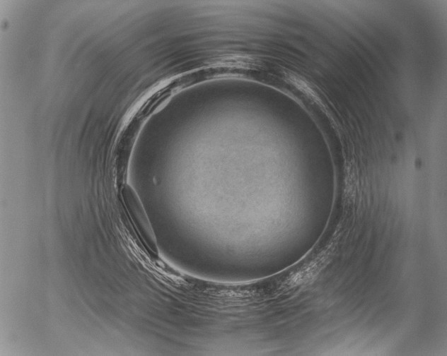 X0000054450923200507291313