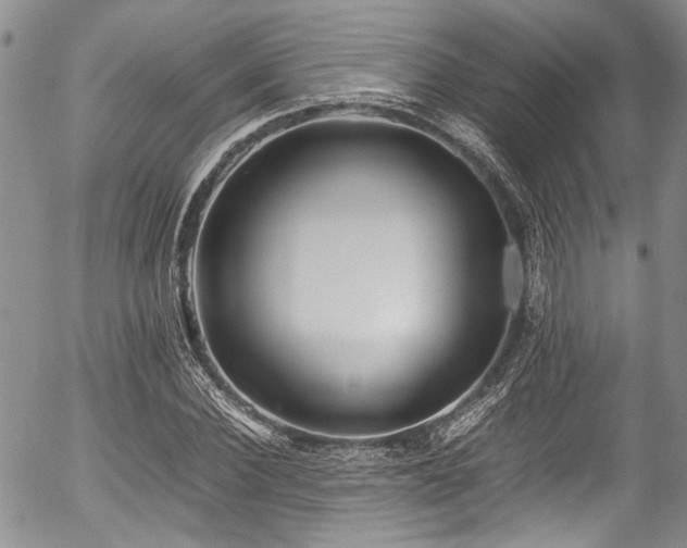 X0000054450924200507291313