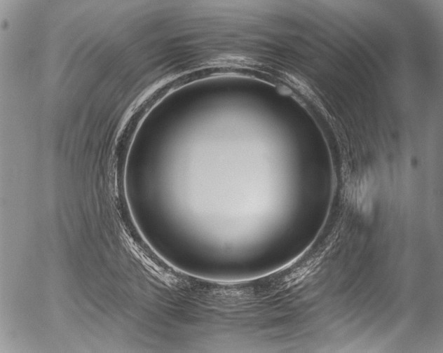 X0000054450931200507291313