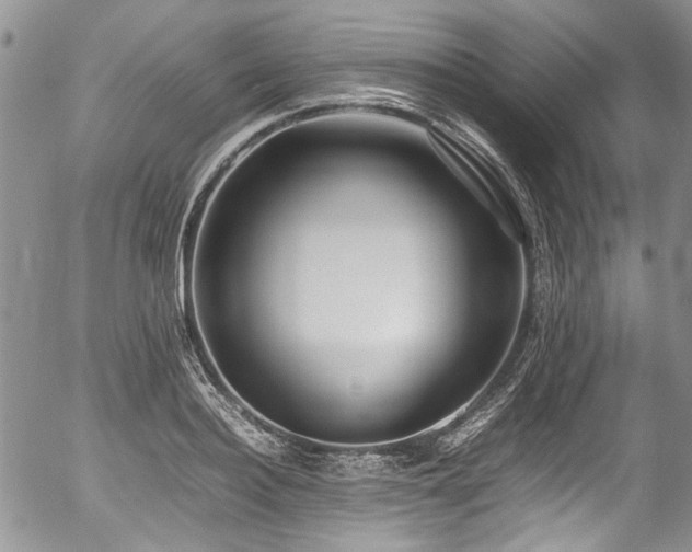 X0000054450940200507291313