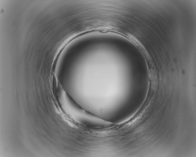X0000054450956200507291313