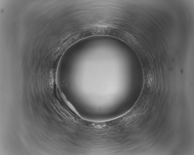 X0000054450964200507291312