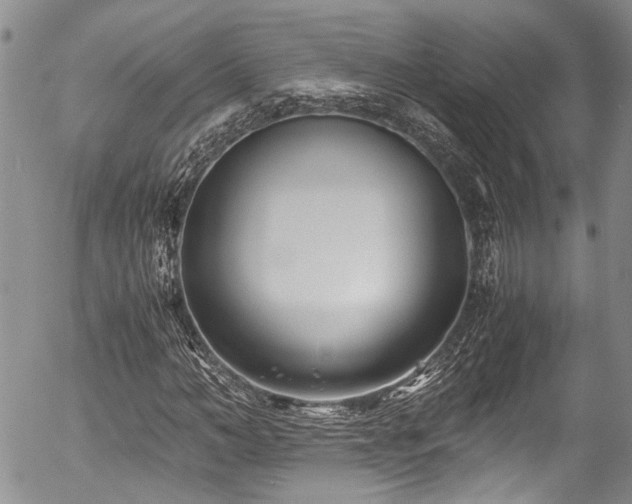 X0000054450966200507291312