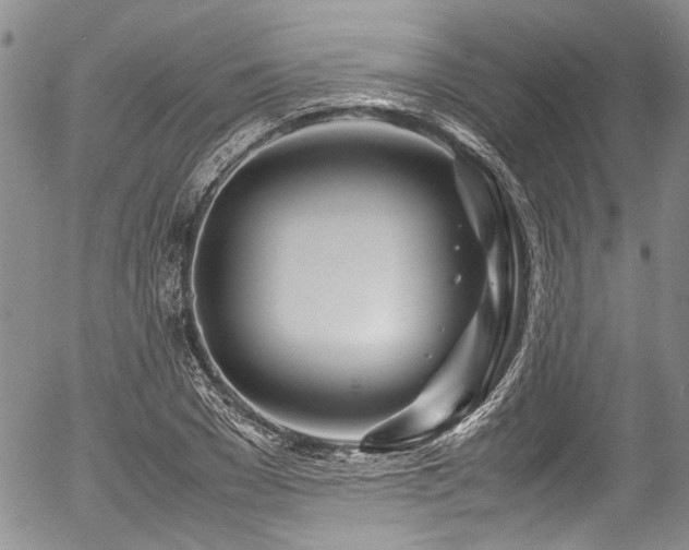 X0000054450977200507291312