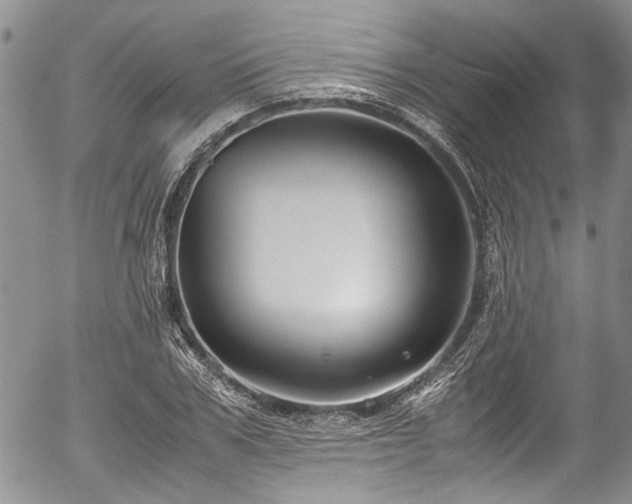 X0000054450979200507291312