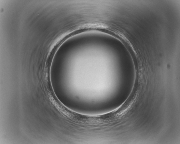 X0000054450981200507291312