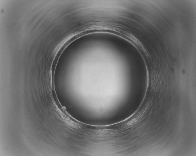 X0000054450988200507291312