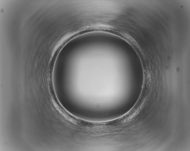 X0000054450989200507291312