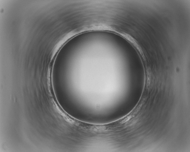 X0000054451006200507291312