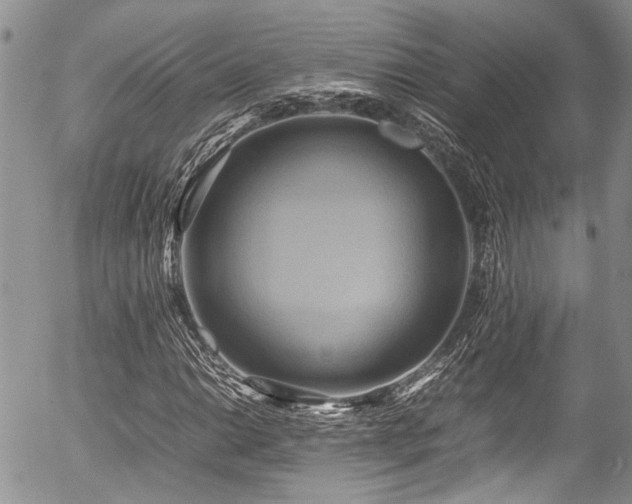 X0000054451014200507291311