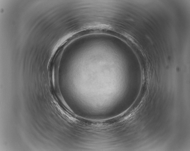 X0000054451022200507291311