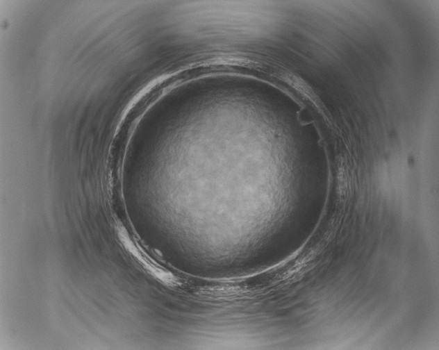 X0000054451024200507291311