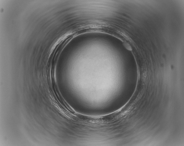 X0000054451026200507291311
