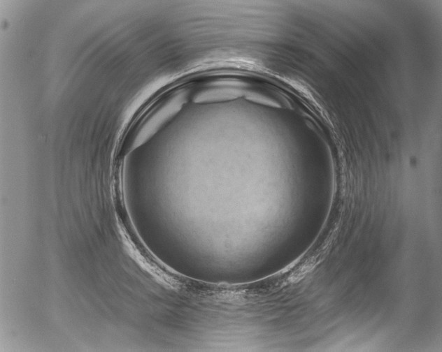 X0000054451038200507291311