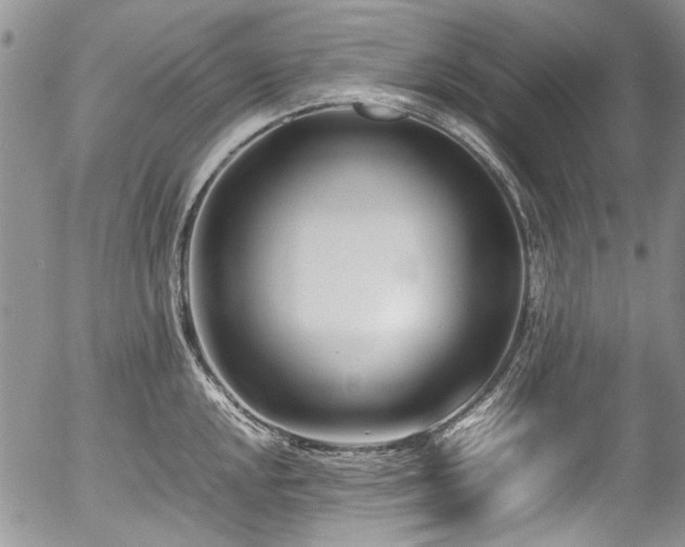 X0000054451048200507291312