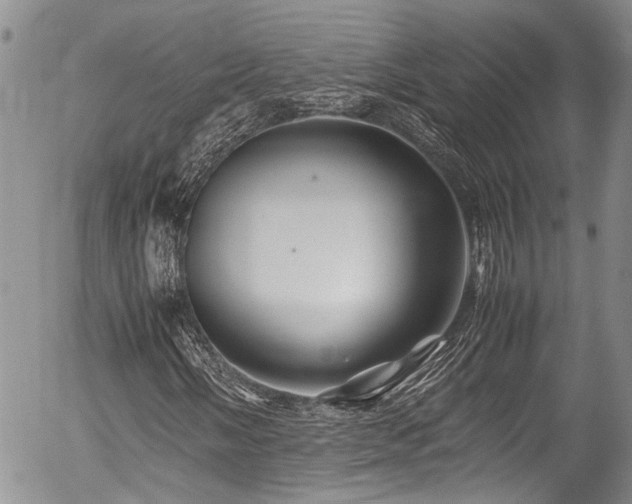 X0000054451058200507291311
