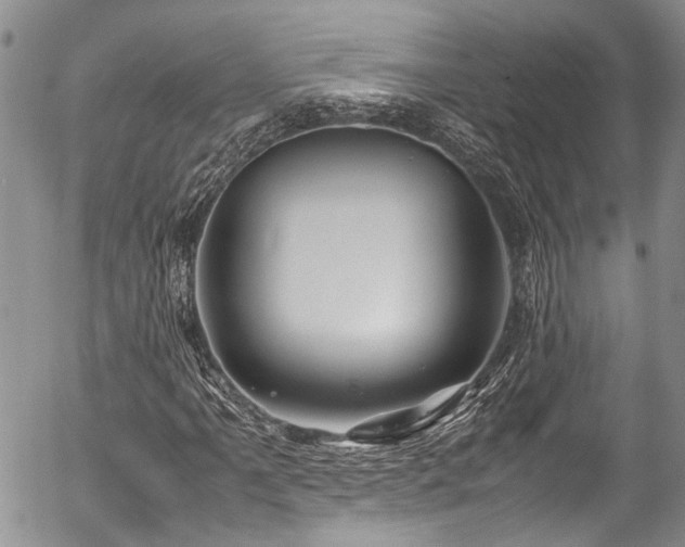 X0000054451061200507291311