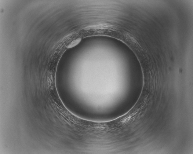 X0000054451062200507291311
