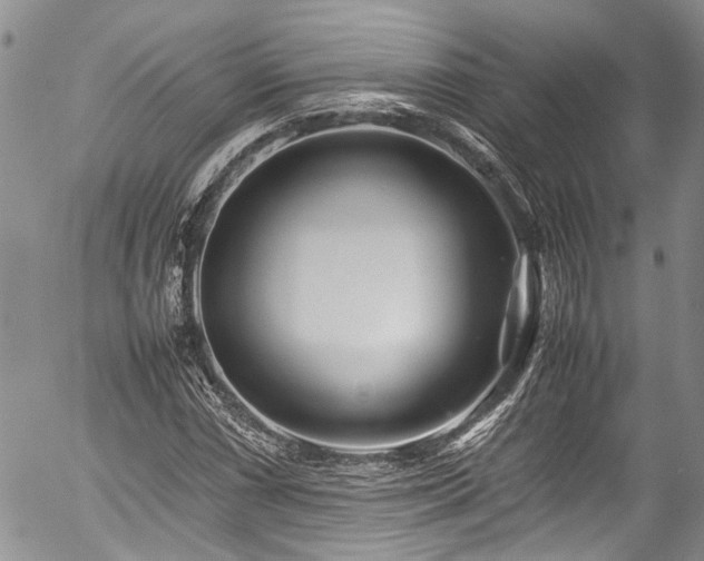 X0000054451066200507291311
