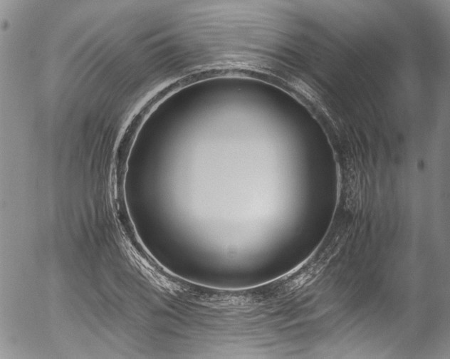 X0000054451076200507291311