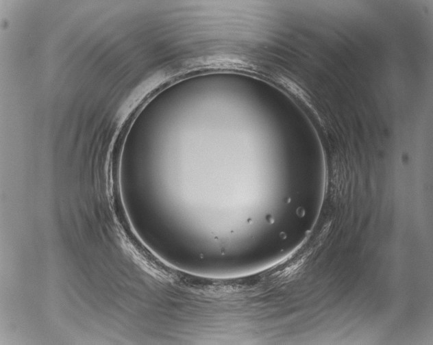 X0000054451082200507291310