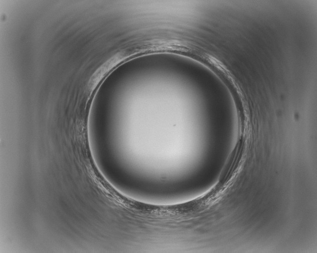 X0000054451089200507291310