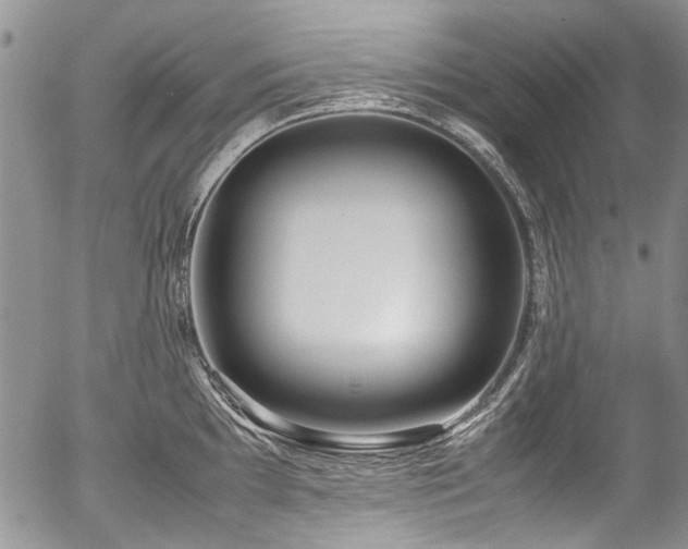 X0000054451097200507291310