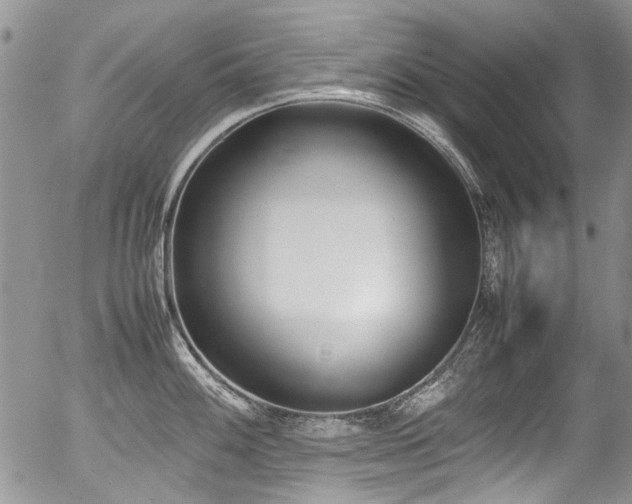 X0000054451100200507291310